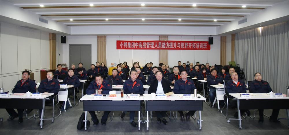 小鸭控股集团：聚焦创新打造发展格局与时俱进推动产业升级
